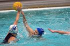 WWPolo vs CC  Wheaton College Women’s Water Polo vs Connecticut College. - Photo By: KEITH NORDSTROM : Wheaton, water polo
